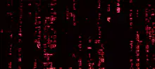 Red Matrix Code Rain