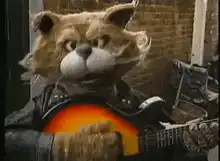Cat playing guitar