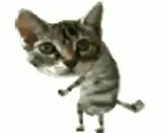 Dancing tabby cat