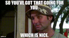So You've Got That Going For You Which Is Nice