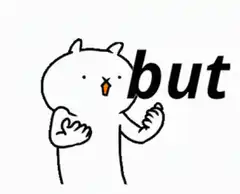 but why cat meme