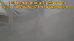 BitTiger Coming To Save You With The Power Of All Mighty Linux