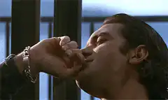 Antonio Banderas kissing a hand