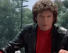 David Hasselhoff says Hi ladies