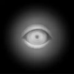 Pulsing monochrome eye animation