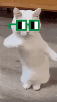 Dancing white cat with green glasses