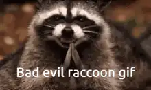 Bad evil raccoon gif