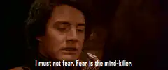 Paul Atreides I must not fear