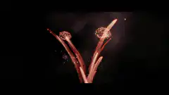 V-shaped fireworks display