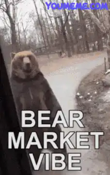 Bear Market Vibe
