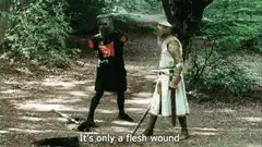Monty Python and the Holy Grail flesh wound