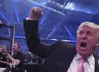 Donald Trump cheering at WWE event