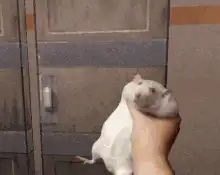 Half-Life 2 rat jump scare
