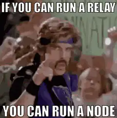 If you can run a relay you can run a node