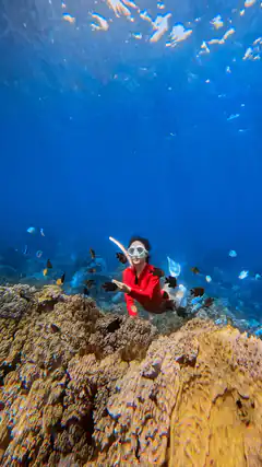 Snorkeler in Red Shirt Underwater