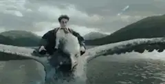 Harry Potter riding a giant eagle