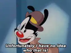Yakko Warner Unfortunately I Have No Idea