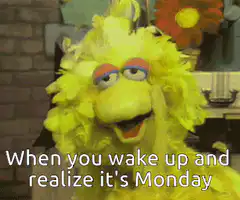 Big Bird Monday Reaction