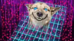dog with glowing blue eyes and laser beams