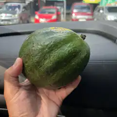Hand holding a large avocado in a car