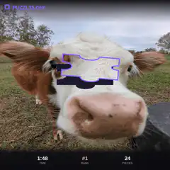 Cow face puzzle game