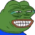 Pepe the Frog crying and laughing