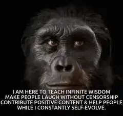 Evolution of Man meme