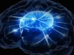 Brain glowing with math equations