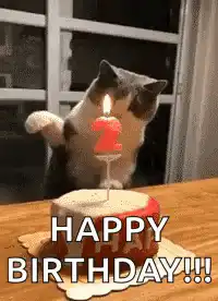 Cat blowing out birthday candle