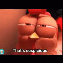 Suspicious chicken eyes
