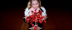 Marilyn Monroe rose petals