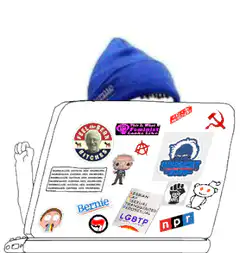Bernie Sanders throws laptop