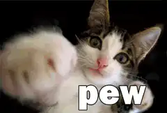 cat paw pew pew
