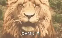 Lion roaring damn it