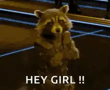 Rocket Raccoon Hey Girl