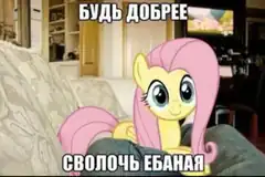 Fluttershy be kinder bitch