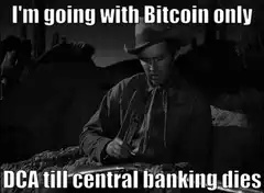 James Stewart Bitcoin DCA meme