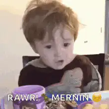 Toddler says RAWR MERNIN