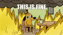 This is Fine dog in burning room
