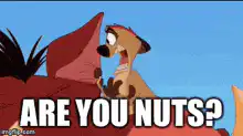 Timon Are You Nuts