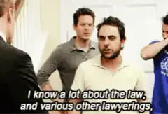 Charlie Day lawyering