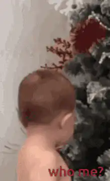 Baby looks guilty next to Christmas tree