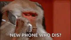 Monkey with two phones new phone who dis