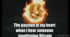 Dog in a burning ring Bitcoin passion