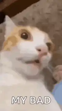 Cat saying my bad