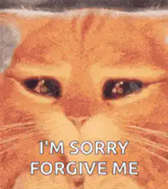 I'm Sorry Forgive Me Cat