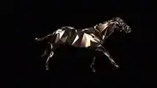 Low poly horse running