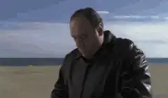 Tony Soprano smashes a brick on the beach