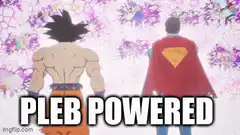 Goku and Superman high five with Bitcoin