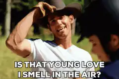 Young Love I Smell In The Air